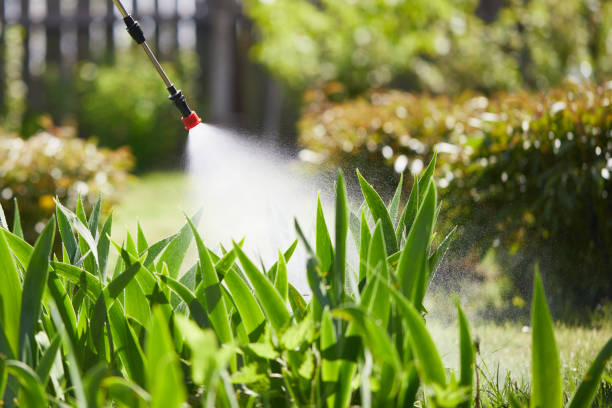 24/7 Emergency Termite Control experts in Cramerton, NC